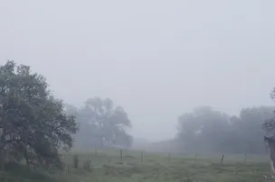 Song of the Ancients – photo 4