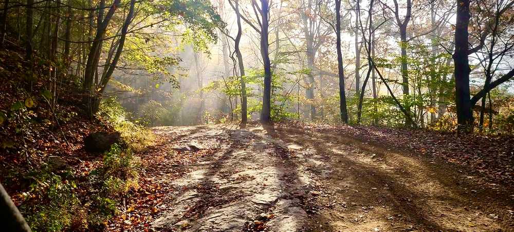 Hillbilly Rentals Campground - West Virginia - Photo 2