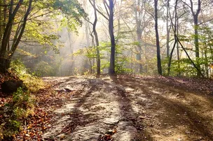 Hillbilly Rentals Campground - West Virginia – photo 2