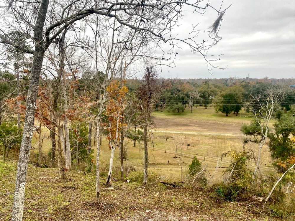 Park Image 7