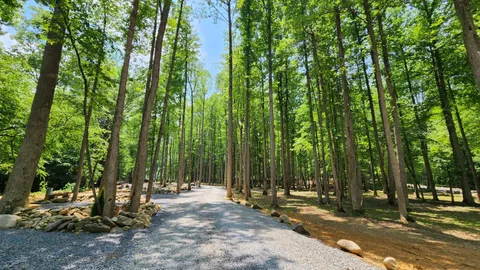 Deluxe Creek RV Site — image 8 of 8
