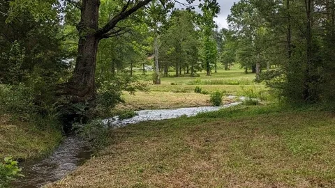 Brookside Primitive Tent Site Drive or Walk In — image 10 of 10
