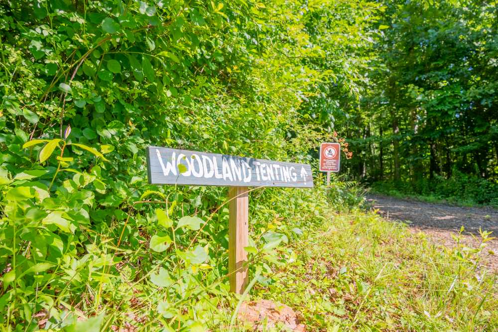 Floyd Family Campground - Photo 4