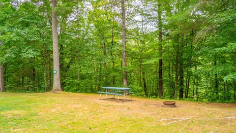 Rustic Tent or RV Site — image 2 of 11