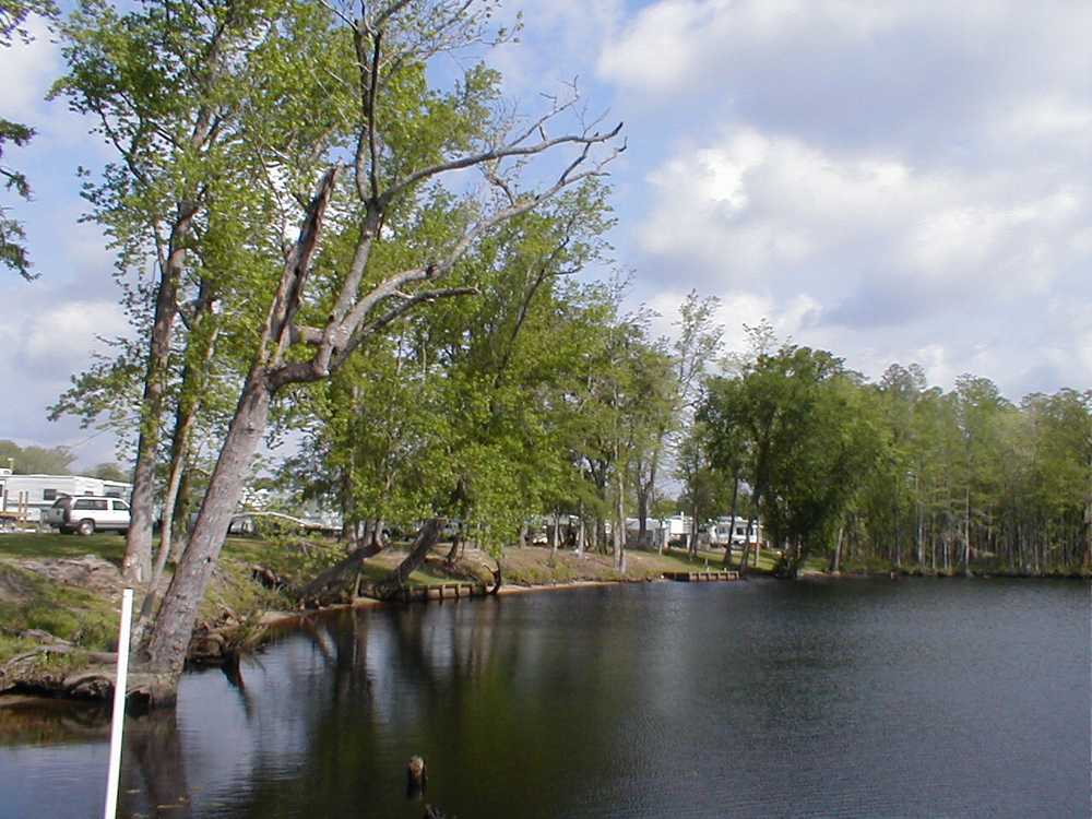Tranter's Creek Resort & Campground - Photo 3