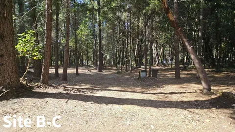 Dry Shaded Overflow Tent Site — image 7 of 7