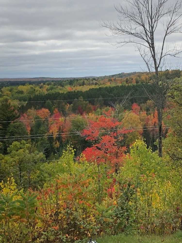 Park Image 6
