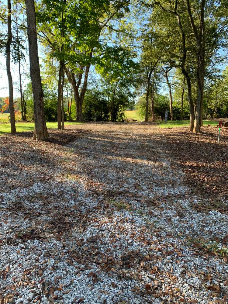 Park Image 7