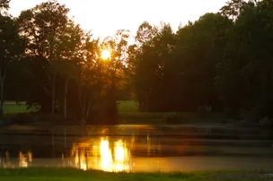 Broxton Bridge Campgrounds – photo 4
