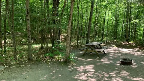 Campsite - Unserviced — image 1 of 1