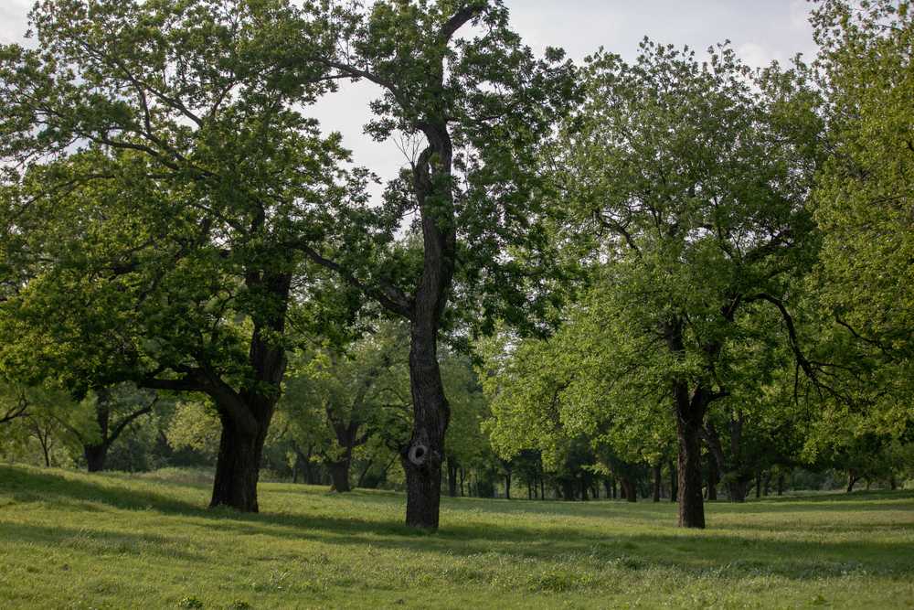 Camp Creek Park, Marble Falls, Texas - Main Photo