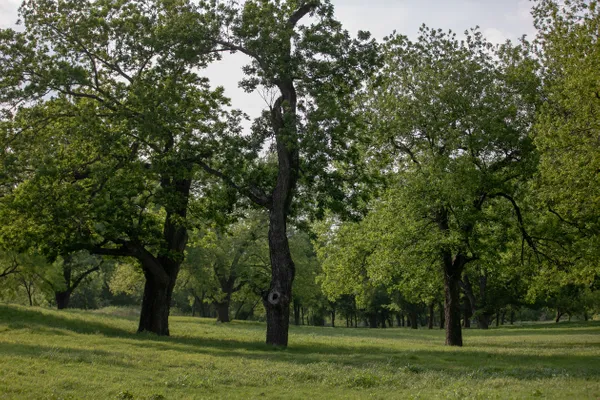 Camp Creek Park – photo 1