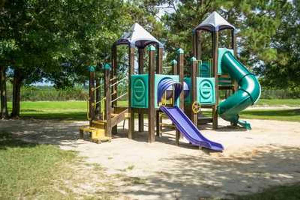 Park Image 5