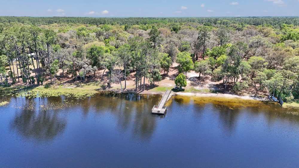 Tall Timbers - Silver Springs, FL - Photo 3