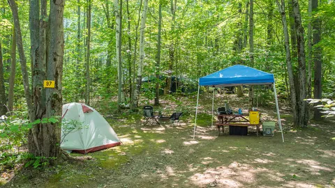 Primitive Tent Sites — image 2 of 5