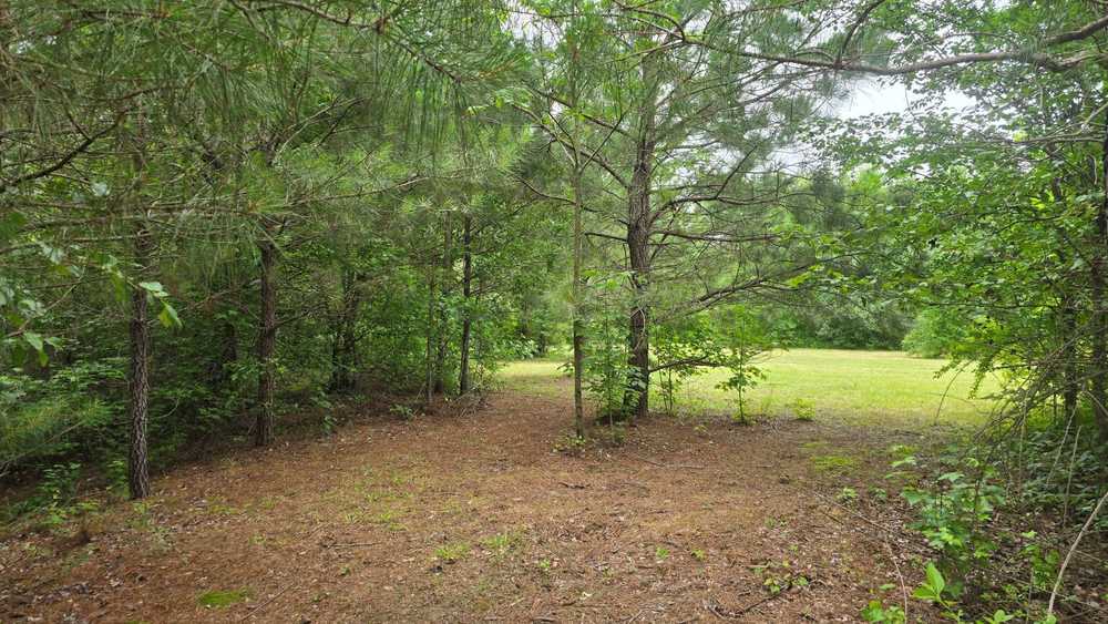 Park Image 12
