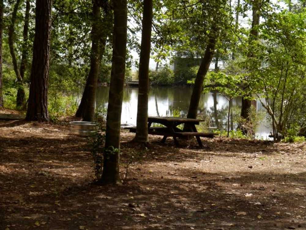 Cross Rip Campground - Deltaville, Virginia - Campspot