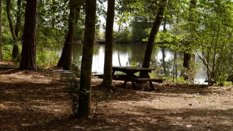 Water + Electric Tent Site — image 1 of 1