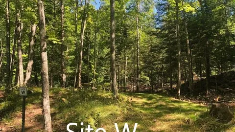 Walk-In Rustic Campsite — image 2 of 6