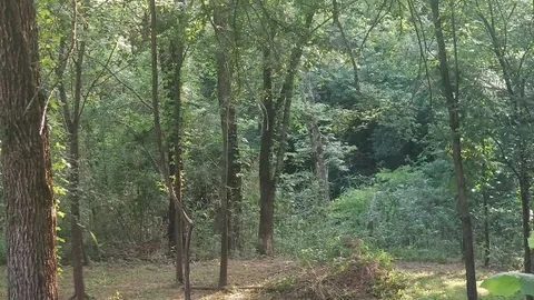 Riverfront Primitive RV Site - No Electricity or Water — image 9 of 9
