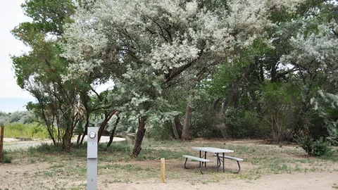 Premium Full Electric RV Site — image 1 of 1