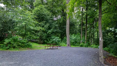 Deluxe RV Site — image 9 of 9