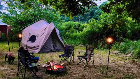 Primitive Tent Site — image 4 of 4