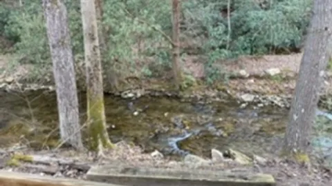 River Haven — image 2 of 7