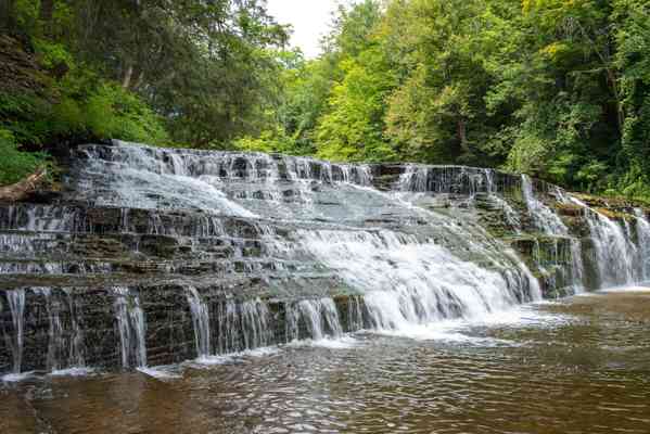 The Best Campgrounds Near Cherry Springs State Park - Campspot