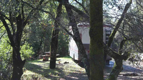 30/50 Amp Standard Pull-Thru RV Site — image 2 of 3