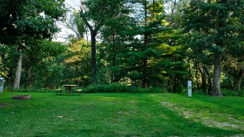 50 Amp Back-In W/E RV Site — image 1 of 2