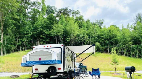 Red Carpet Back-In RV Site — image 1 of 1