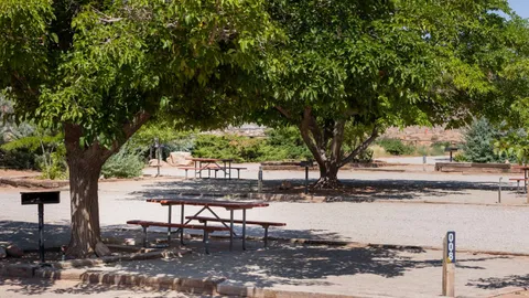Tent Site — image 2 of 3