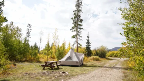 Tent Site/No utilities — image 1 of 4