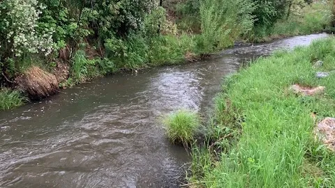 Creek Side Standard RV Site — image 5 of 5