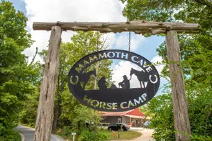 Mammoth Cave Horse Camp – photo 2