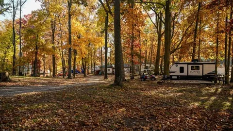Standard Back-In RV Site 30-Amp — image 1 of 5