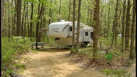 Forest Edge Pull-Through Campsite — image 1 of 1