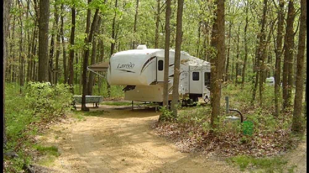 Forest Edge Pull-Through Campsite