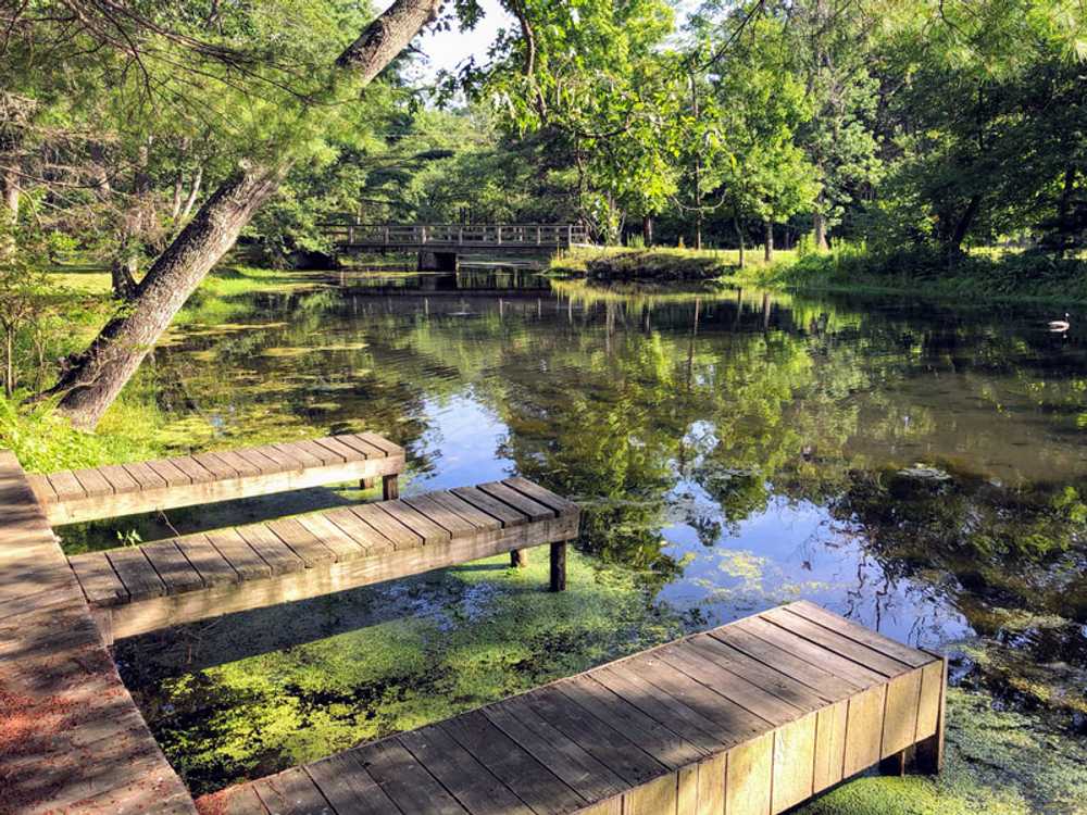 Neversink River Resort - Photo 5