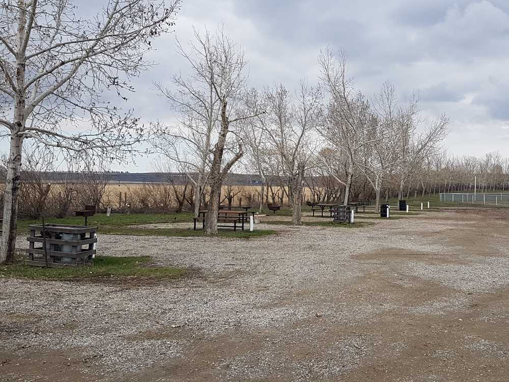 Park Image 5