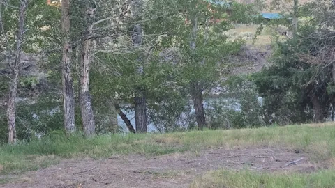 Riverview Full Hookup Back in RV Site — image 2 of 14