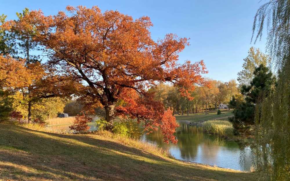 River Oaks RV Park - Main Photo