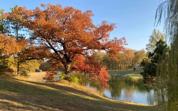 River Oaks RV Park campground
