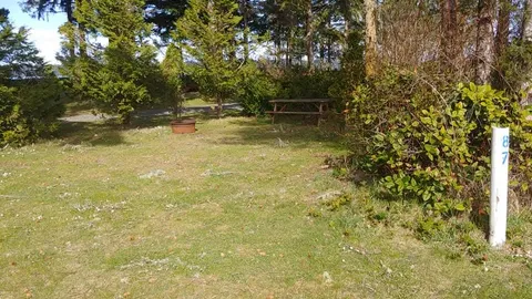 Un-serviced Wood Land Tent Sites (87 & 88) — image 3 of 3