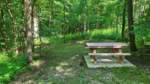 Primitive Tent Site — image 2 of 2