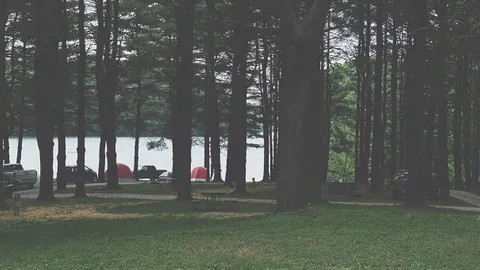 Len's Loop / Tent / 20 Amp — image 2 of 2