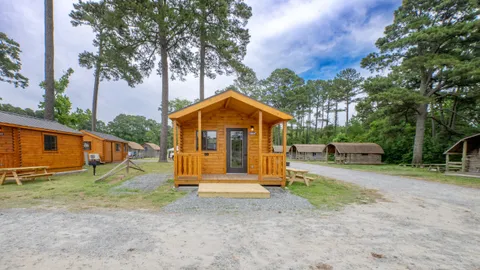 Premium Cabin — image 1 of 10