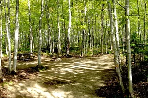 Harmony Acres – photo 3
