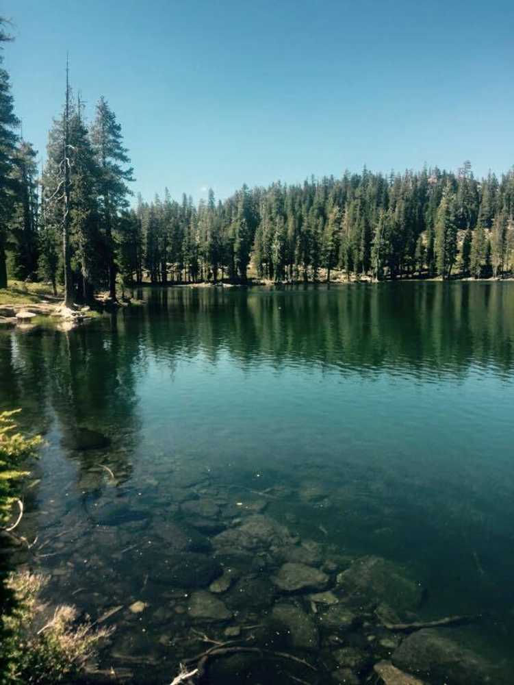North Shore Campground - Photo 5